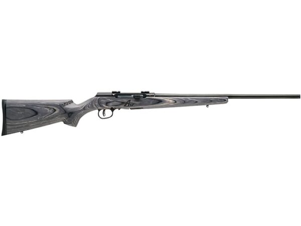 savage arms a17 sporter semi automatic rimfire rifle 17 winchester super