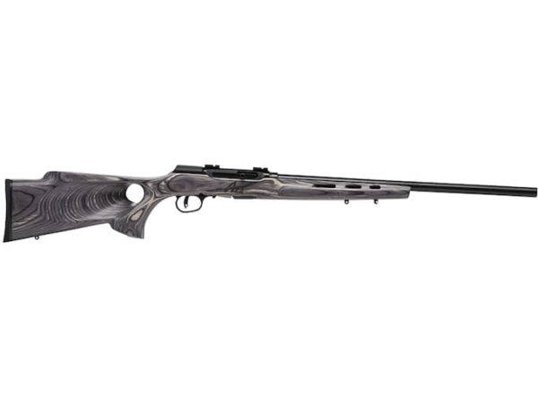 savage arms a22 target thumbhole semi automatic rimfire rifle 22 winchester