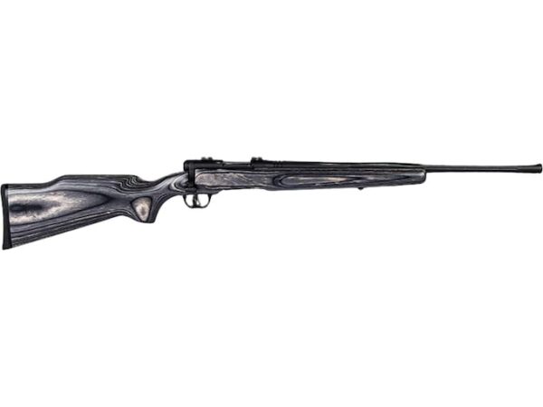 savage arms bmag bolt action rimfire rifle 17 winchester super magnum 22